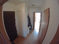 podn�jmy, ko���e, praha