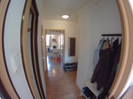 n�jmy, ko���e, praha